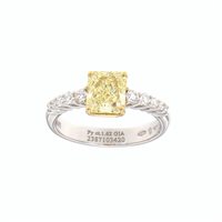 Anello Damiani Donna Special Classic in Oro bianco Diamante 1.62 Ct 81091968 - 81091968